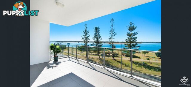 ID:21153939 378 Marine Parade Labrador QLD 4215