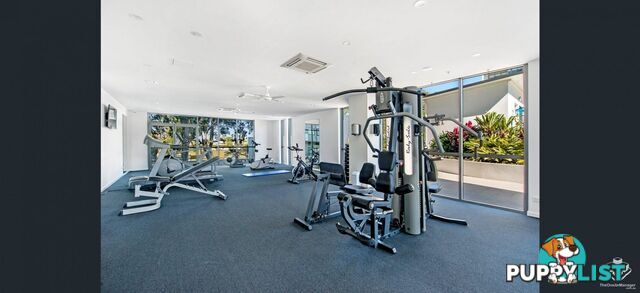 ID:21153939 378 Marine Parade Labrador QLD 4215