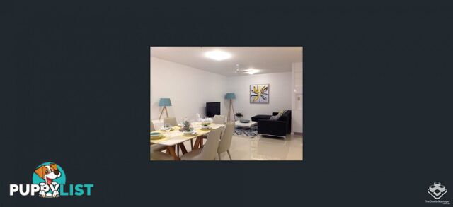 ID:21153939 378 Marine Parade Labrador QLD 4215