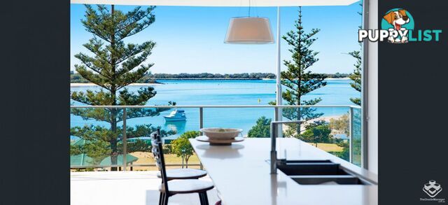 ID:21153939 378 Marine Parade Labrador QLD 4215