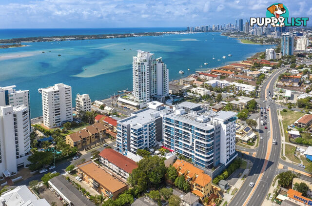 ID:21153810 19 Imperial Parade Labrador QLD 4215