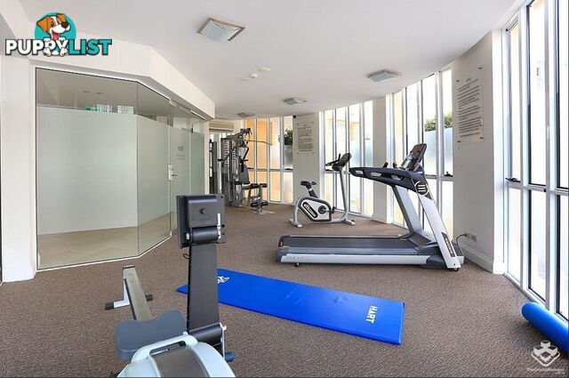 1034/3029 The Boulevard Carrara QLD 4211