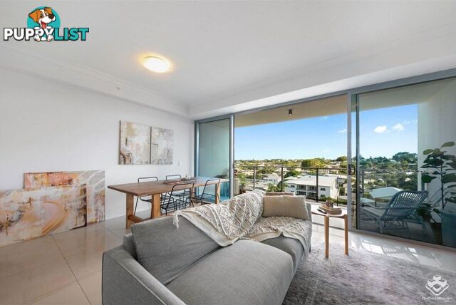 ID:21157001 47 Nundah Street Nundah QLD 4012