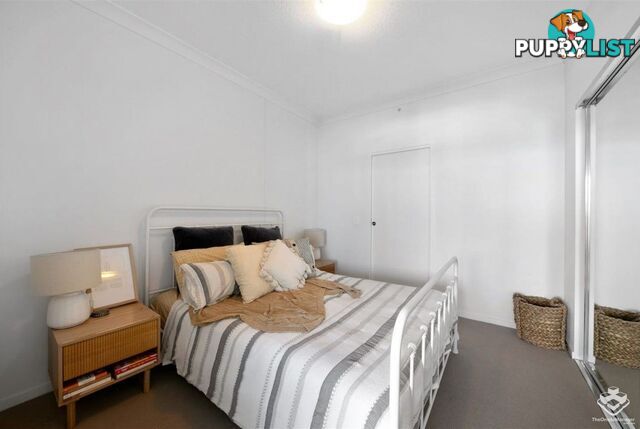 ID:21157001 47 Nundah Street Nundah QLD 4012