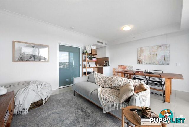 ID:21157001 47 Nundah Street Nundah QLD 4012