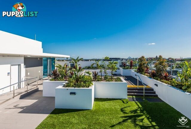 ID:21157001 47 Nundah Street Nundah QLD 4012