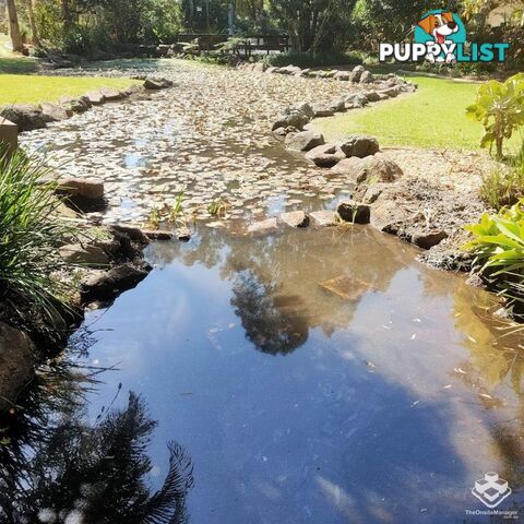 ID:21145170/56 Guineas Creek Road CURRUMBIN WATERS QLD 4223