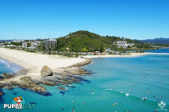 ID:21145170/56 Guineas Creek Road CURRUMBIN WATERS QLD 4223