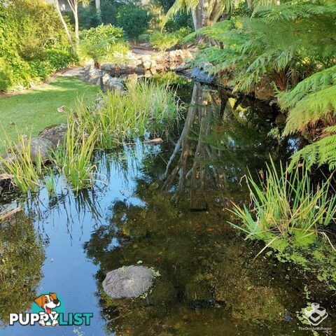 ID:21145170/56 Guineas Creek Road CURRUMBIN WATERS QLD 4223