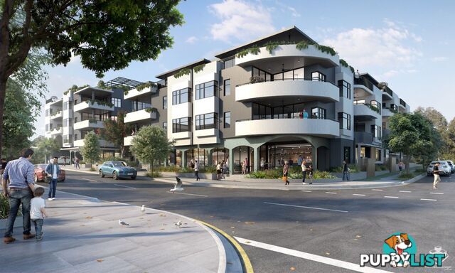 ID:21154730 191 Stratton Terrace Manly QLD 4179