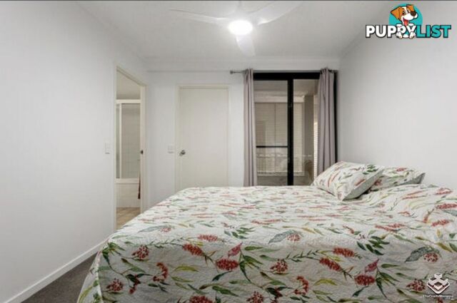 ID:21152667 20 Malt Street Fortitude Valley QLD 4006