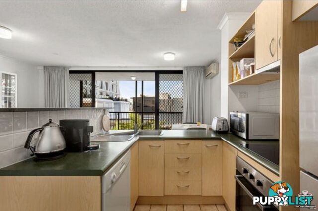 ID:21152667 20 Malt Street Fortitude Valley QLD 4006