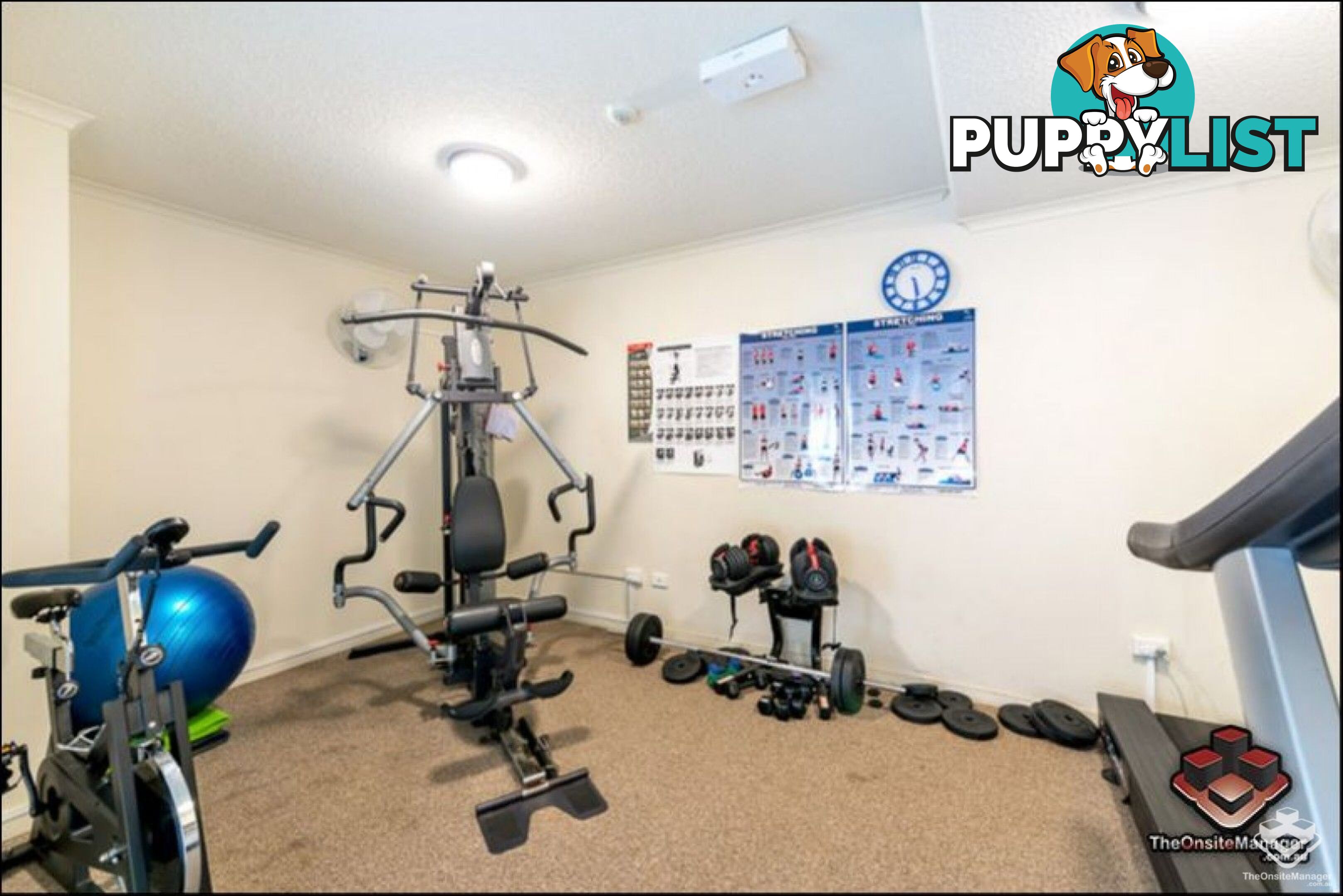 ID:21152667 20 Malt Street Fortitude Valley QLD 4006