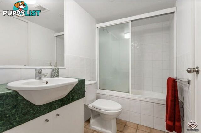 ID:21152667 20 Malt Street Fortitude Valley QLD 4006