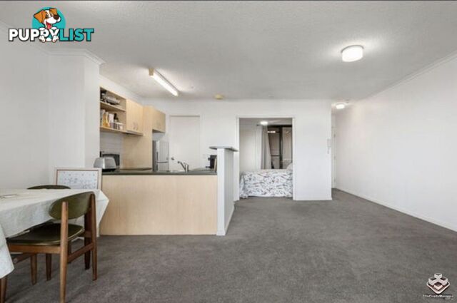 ID:21152667 20 Malt Street Fortitude Valley QLD 4006