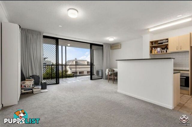ID:21152667 20 Malt Street Fortitude Valley QLD 4006