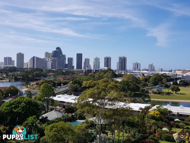 ID:3879194/56 Hooker Boulevard Broadbeach Waters QLD 4218