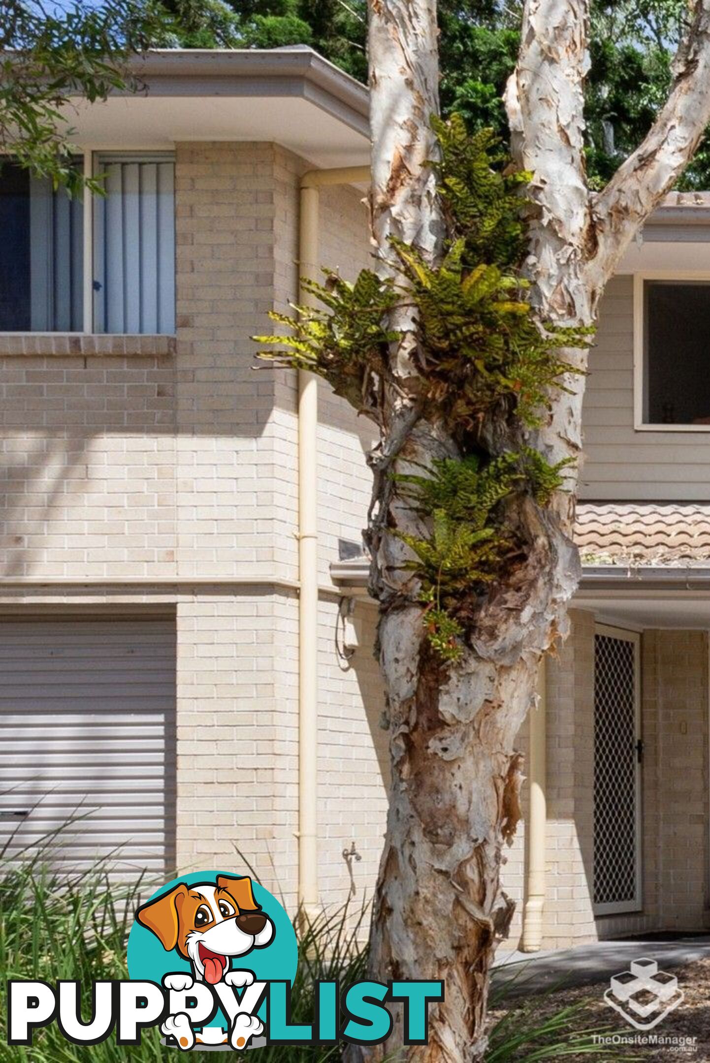 20/60 Gawler Crescent Bracken Ridge QLD 4017