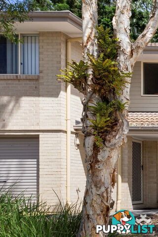 20/60 Gawler Crescent Bracken Ridge QLD 4017