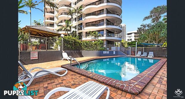 4/219 Surf Parade Broadbeach QLD 4218