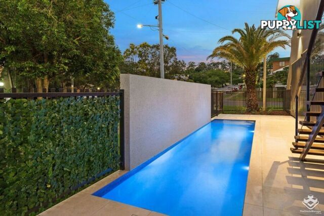 6/70 Sisley Street St Lucia QLD 4067