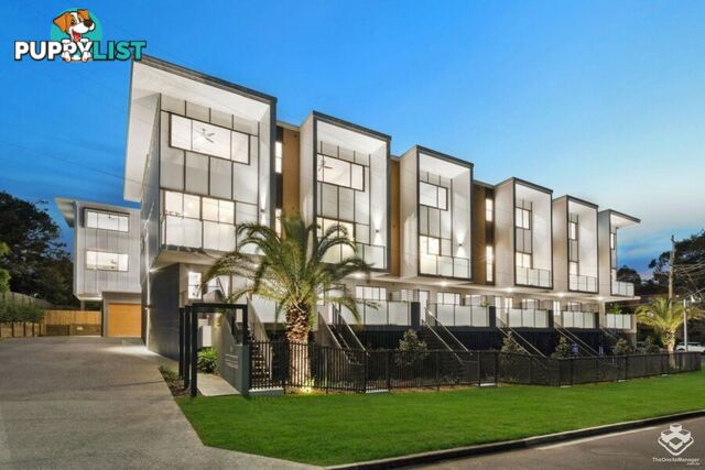 6/70 Sisley Street St Lucia QLD 4067