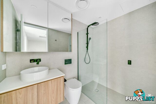 6/70 Sisley Street St Lucia QLD 4067