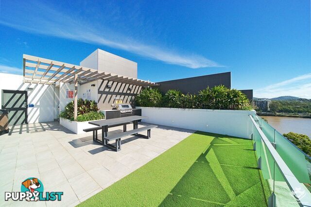 ID:21155952 15 Duncan Street West End QLD 4101