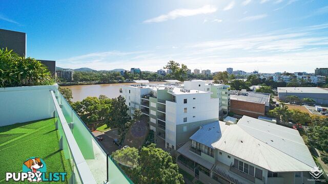 ID:21155952 15 Duncan Street West End QLD 4101