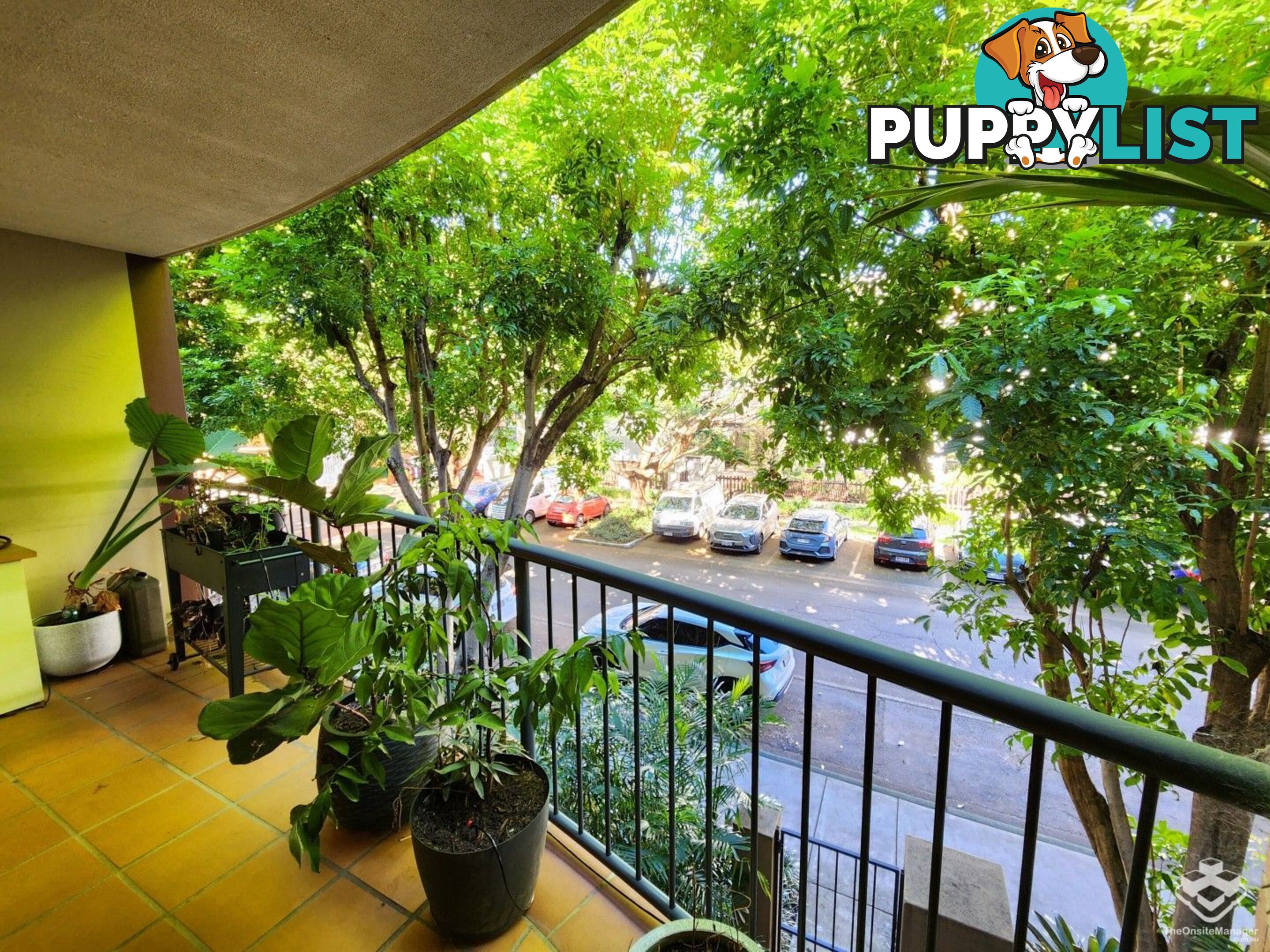 ID:21154213 68 Beeston Street Teneriffe QLD 4005