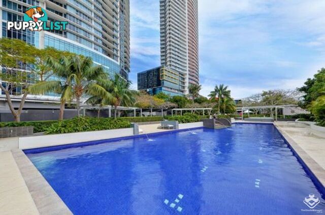 1293/56 Scarborough Street Southport QLD 4215