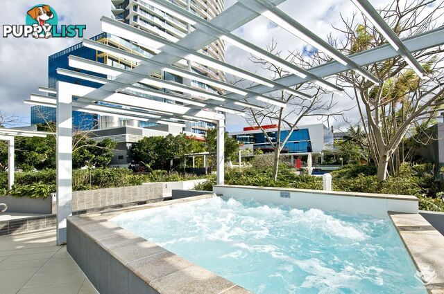 1293/56 Scarborough Street Southport QLD 4215