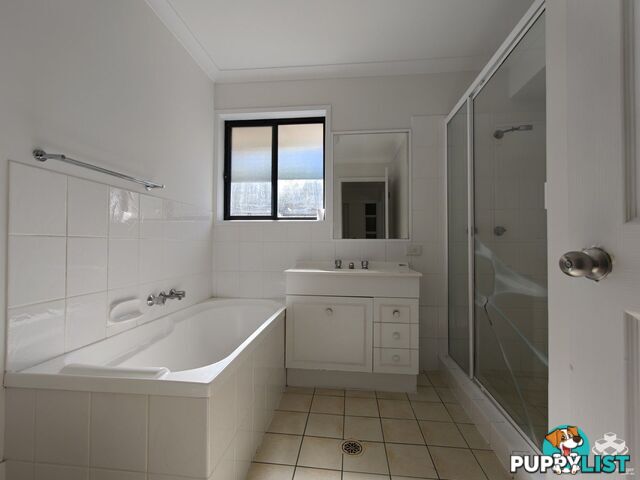 ID:21157096 141 Pacific Pines Boulevard Pacific Pines QLD 4211