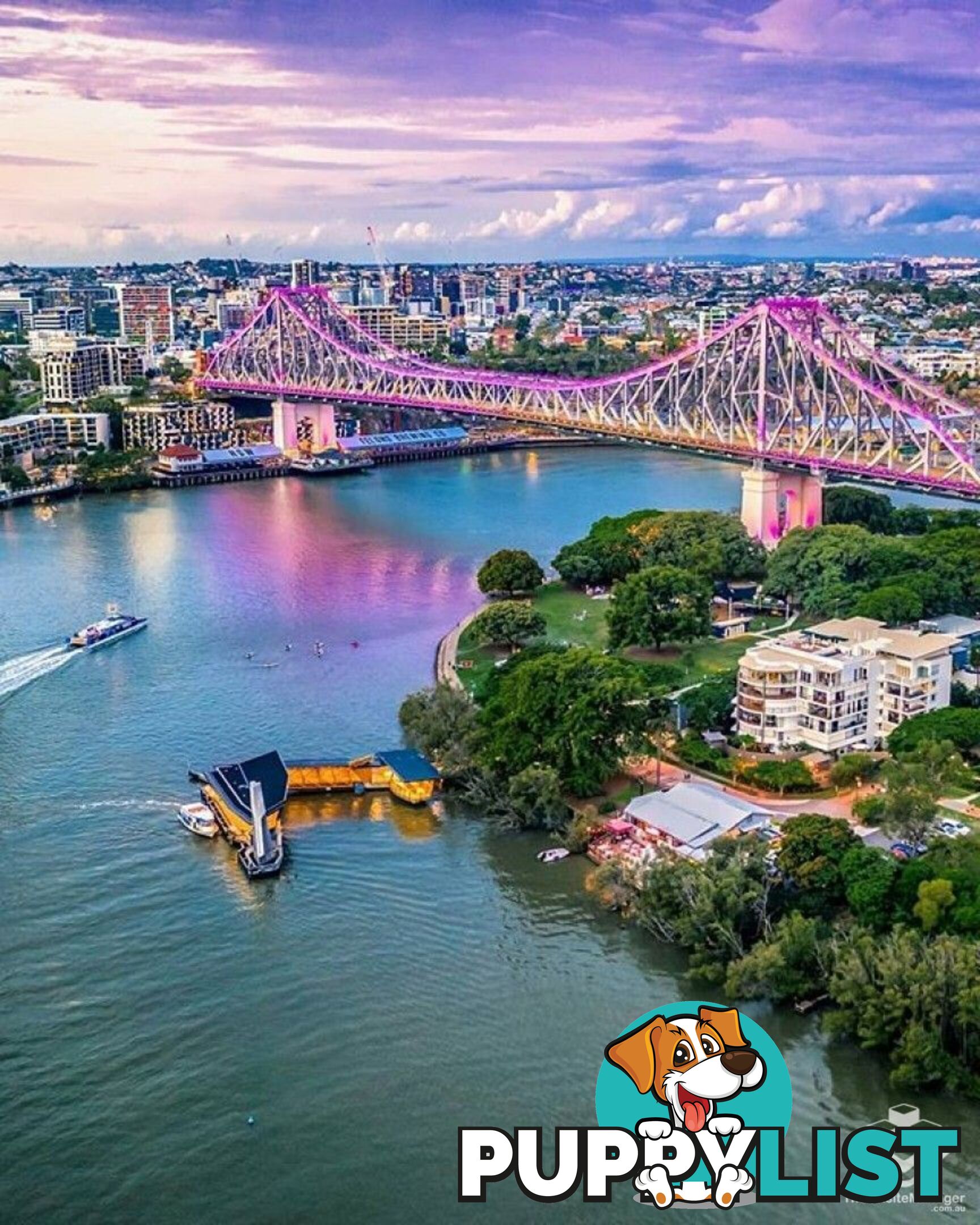 ID:21126788/19 Wicklow Street Kangaroo Point QLD 4169