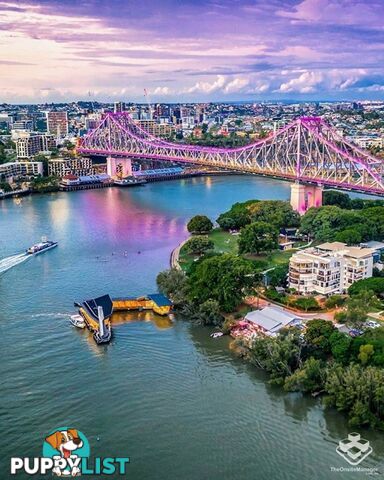 ID:21126788/19 Wicklow Street Kangaroo Point QLD 4169