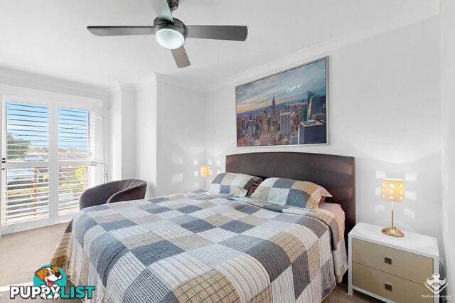 91A Gellibrand Street Clayfield QLD 4011