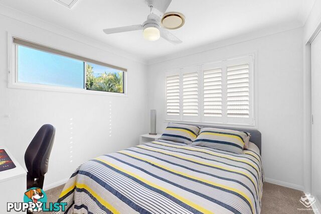 91A Gellibrand Street Clayfield QLD 4011