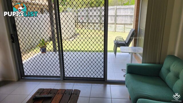 ID:21158460 230 Pulgul Street Urangan QLD 4655