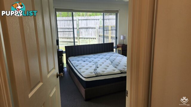 ID:21158460 230 Pulgul Street Urangan QLD 4655