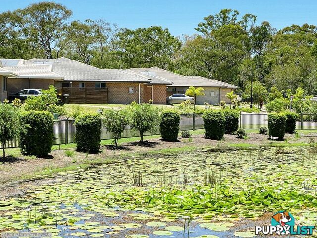 ID:21158460 230 Pulgul Street Urangan QLD 4655