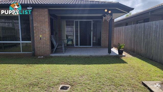 ID:21158460 230 Pulgul Street Urangan QLD 4655