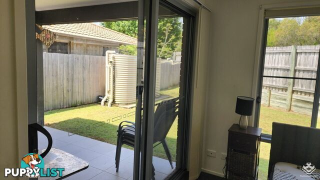 ID:21158460 230 Pulgul Street Urangan QLD 4655
