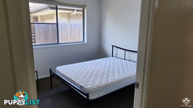 ID:21158460 230 Pulgul Street Urangan QLD 4655