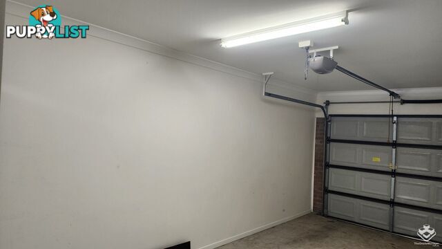 ID:21158460 230 Pulgul Street Urangan QLD 4655