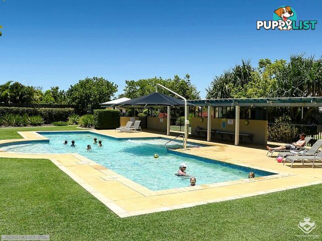 ID:21158460 230 Pulgul Street Urangan QLD 4655