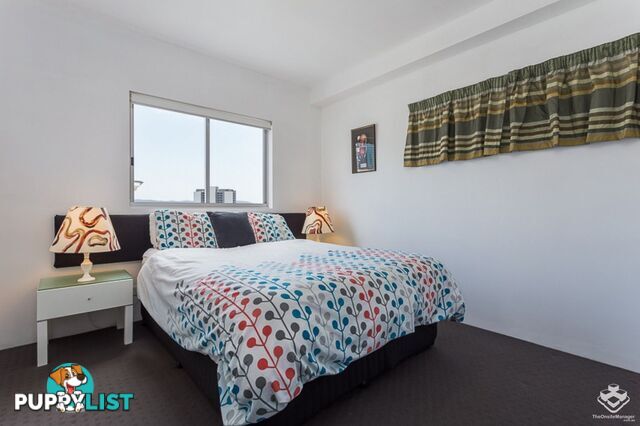 ID:21155980 170 Leichhardt Street Spring Hill QLD 4000