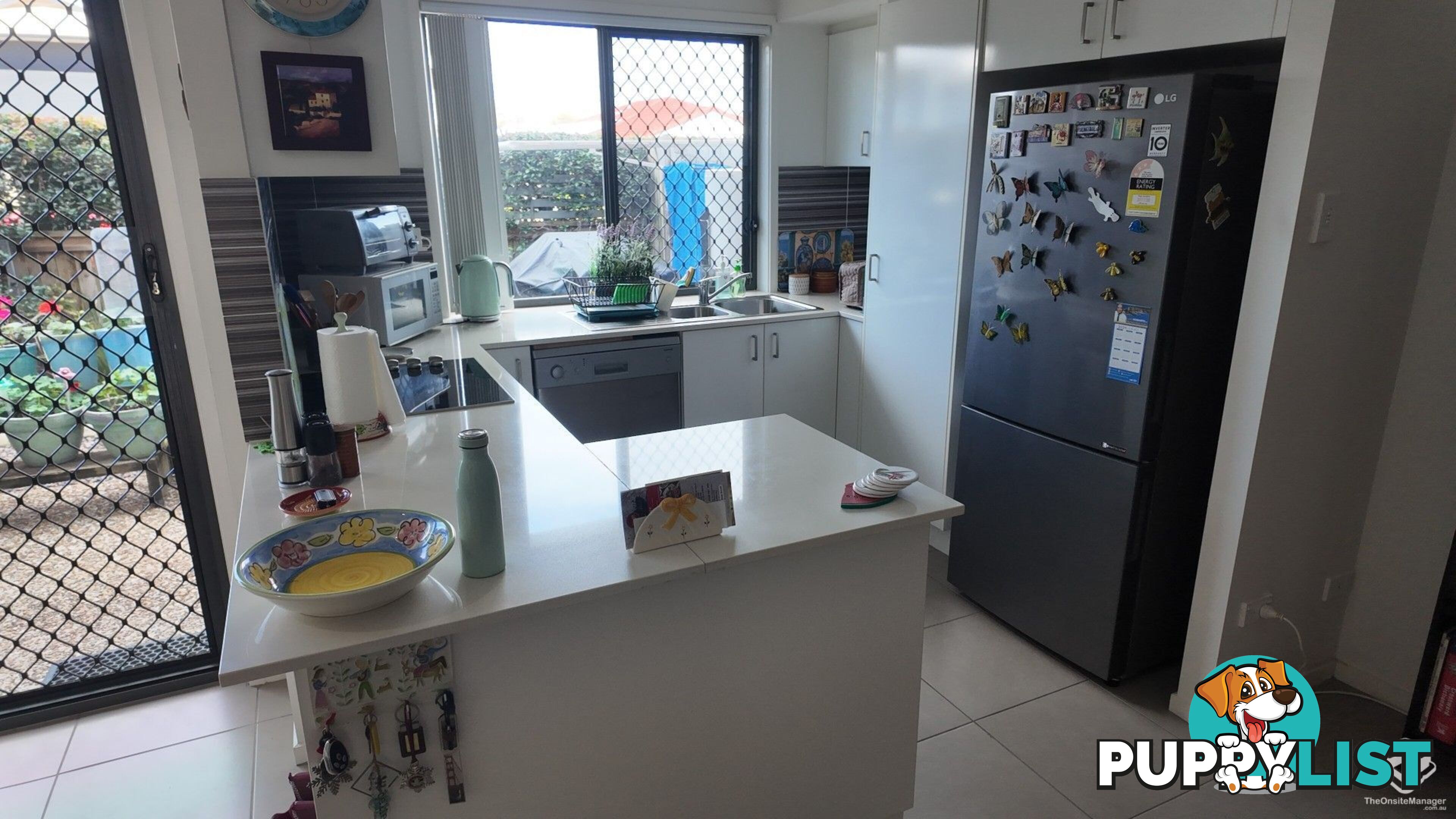 ID:21141686 36 Higgs Street Deception Bay QLD 4508