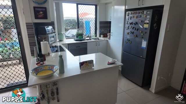 ID:21141686 36 Higgs Street Deception Bay QLD 4508