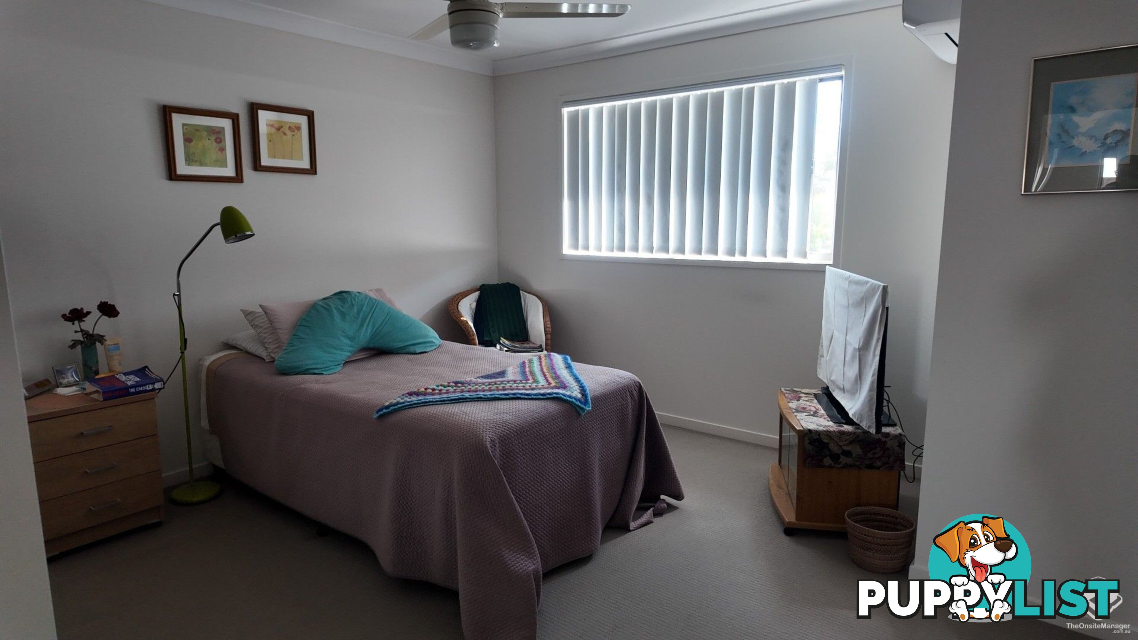 ID:21141686 36 Higgs Street Deception Bay QLD 4508