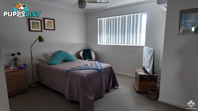 ID:21141686 36 Higgs Street Deception Bay QLD 4508